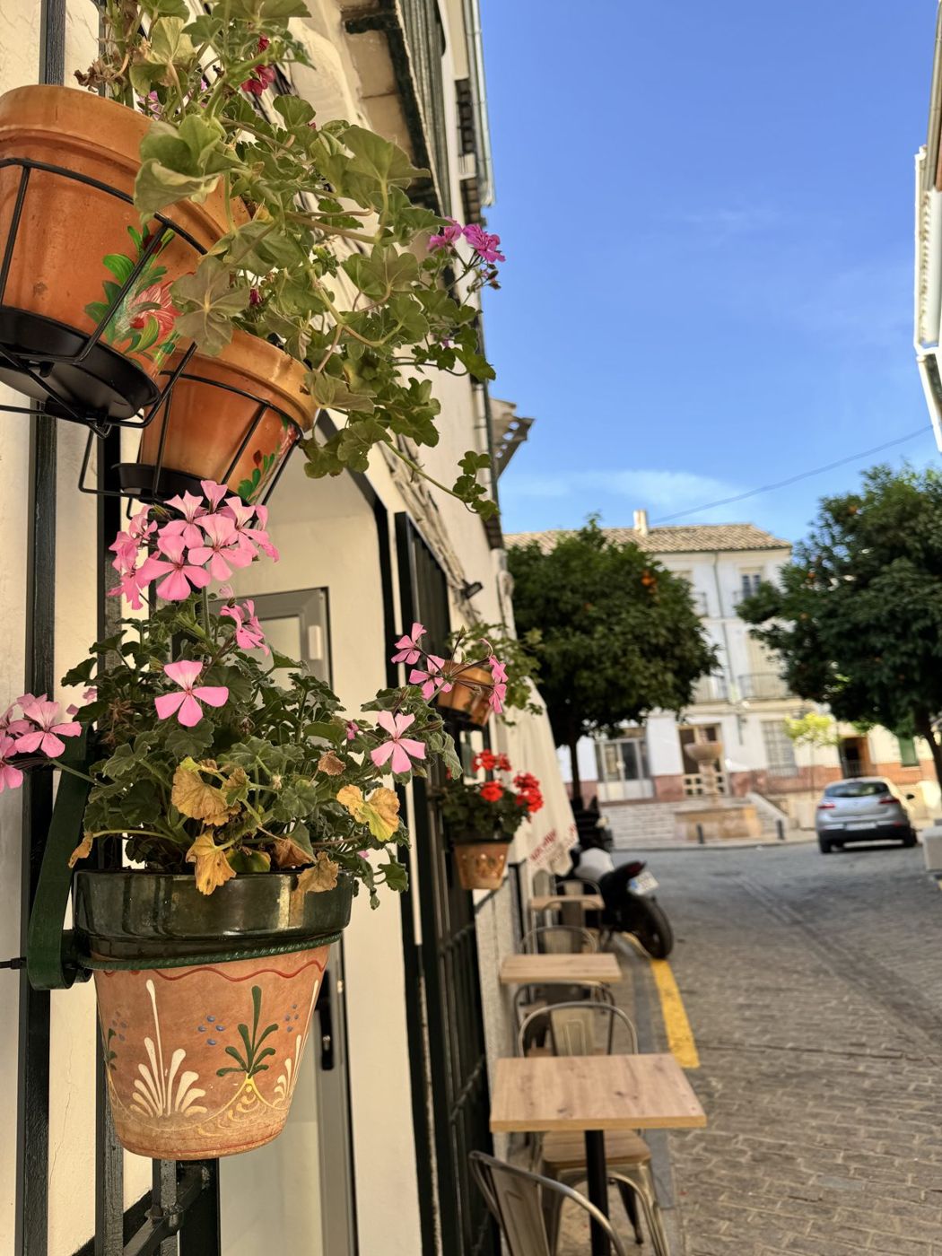 Macetas con flores en la fachada y Las Pescarías al fondo